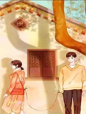 离婚后追妻火葬场的甜宠文