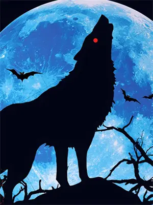 星陨王国魔法复兴录林玄夜林玄夜完结小说免费阅读_完本热门小说星陨王国魔法复兴录林玄夜林玄夜